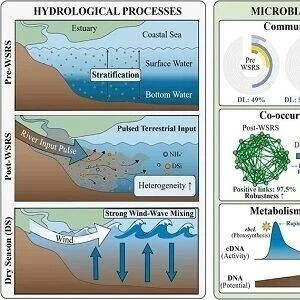 Water Research | 中国科学院烟台海岸带所揭示黄河口近海微生物群落生态策略演替机制