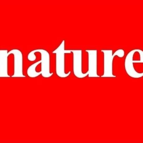上海大学最新Nature