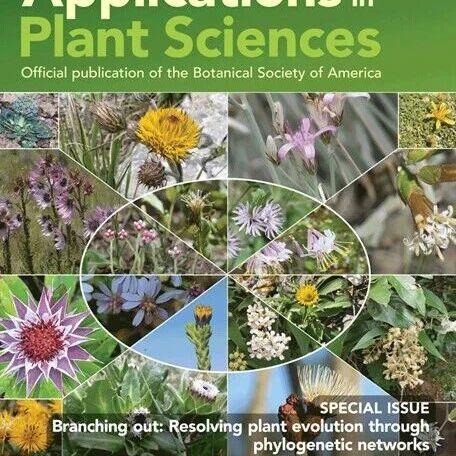 植物演化不止“分枝”｜《Applications in Plant Sciences》最新专题聚焦系统发育网络