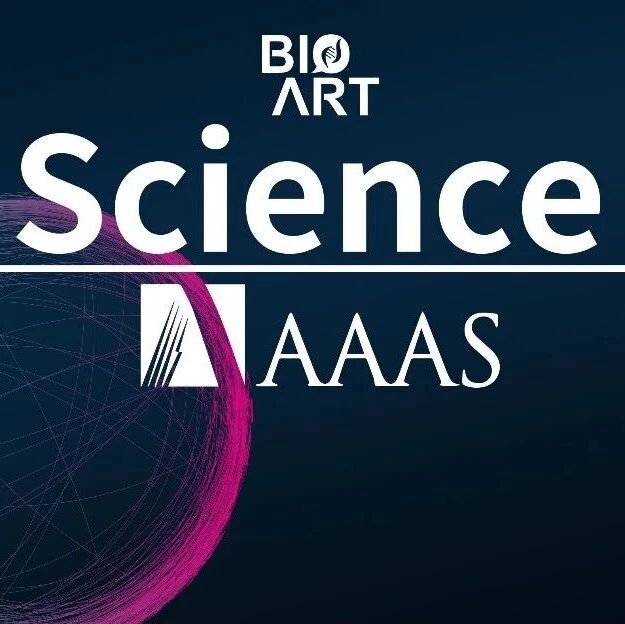 Science | 王胜鹏/袁祖贻/张谞丰/周斌等合作团队揭示肝脏再生过程中关键力学感受器，建立力学驱动器官再生新范式