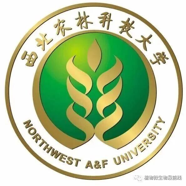 GCB | 西北农林科技大学硕士生第一作者在一区top期刊（IF=14.0）发表论文，在微生物胞外聚合物稳定退化草地有机碳的重要作用方面取得