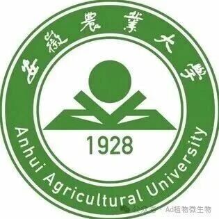 New Phytol | 安徽农业大学博士后第一作者在植物学一区Top期刊再发研究论文，茶树抗病新突破！