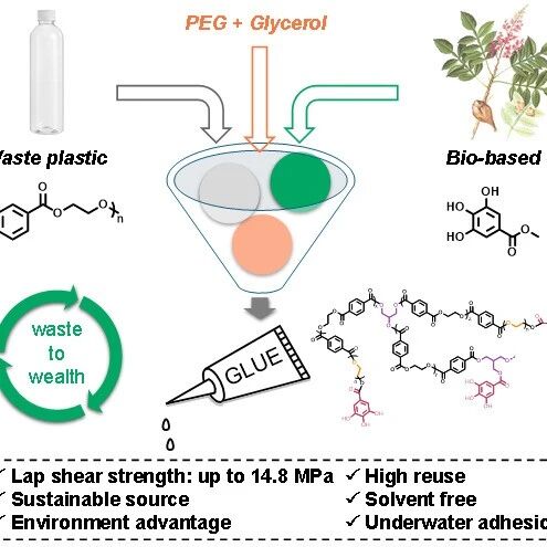 华南理工王号兵教授团队 Macromolecules：钛催化分子重建将废塑料升级为高性能超分子粘合剂