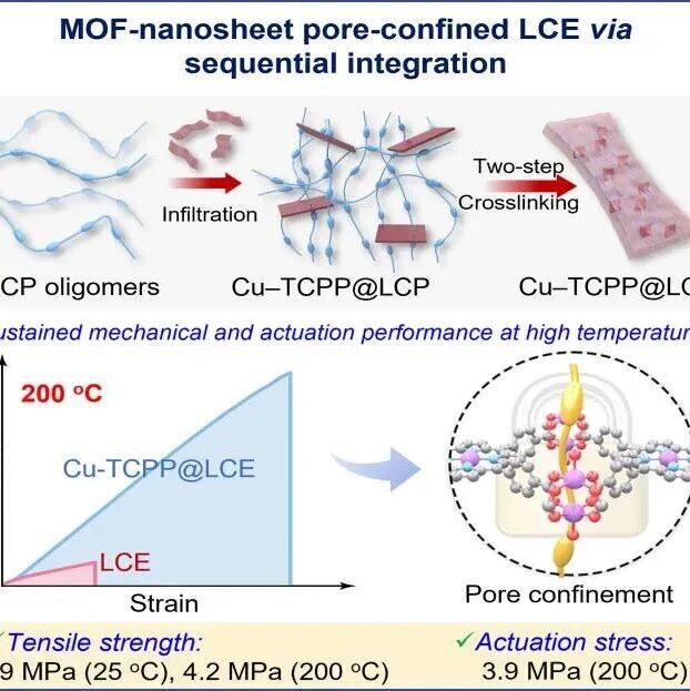 东南大学杨洪教授课题组 Adv. Mater.：在强驱动性能液晶弹性体材料研究领域取得进展