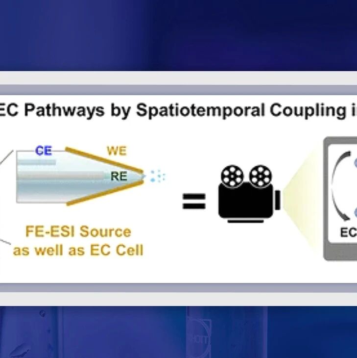 【JACS】武汉大学魏振威/王功伟/中山大学霍新明：基于原位质谱技术的电化学过程机制解析