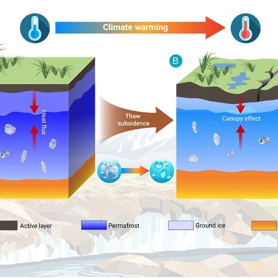 The Innovation Geoscience | 当多年冻土失去“冰支架”：热融沉降如何影响冻土退化？