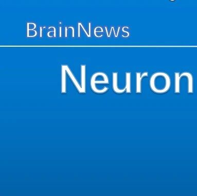 Neuron：深圳先进院揭示大脑血管衰老早期的重要机制