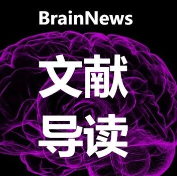 Nat Commun | 自由活动小鼠全皮层神经动力学：空间导航决策的双向皮层信息流研究