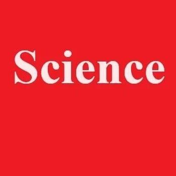 复旦大学刘明院士团队合作在《Science》发表最新研究成果