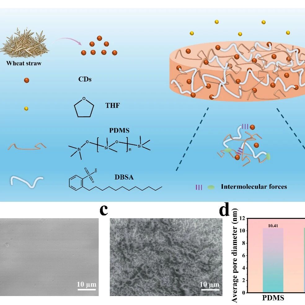 鲁东大学徐文龙课题组本科生一作 Polymer：小麦废弃秸秆衍生的碳点光热膜实现高效太阳能海水淡化