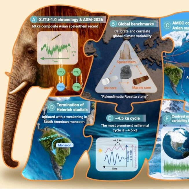 The Innovation Geoscience | 过去六万年全球气候变化的石笋精确时间标尺及全球对比的“罗塞塔石碑”