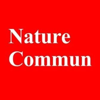 「国家杰青」何传新领衔！深圳大学杨恒攀Nature子刊 | Ag基催化剂助力CO2电还原！