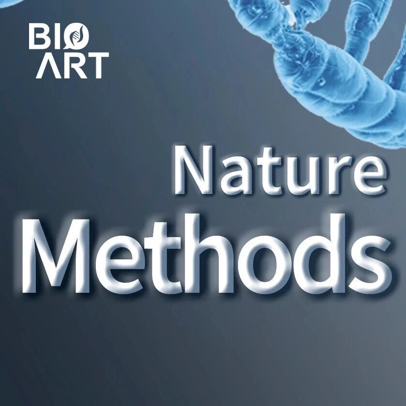 Nat Methods | 罗锐邦团队开发基于深度学习的癌症长读长体细胞小变异检测方法ClairS