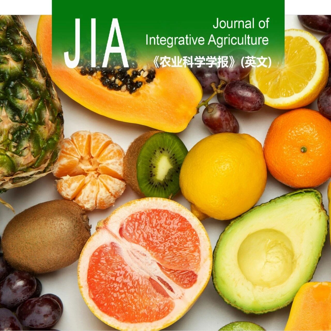 JIA | 青岛农业大学园艺学院聂继云教授团队发表综述：水果产地溯源十年技术进展回顾（2014-2024）与展望