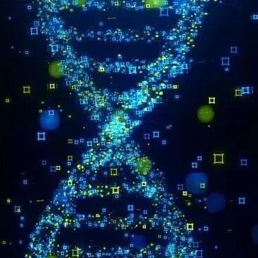CAS BioFinder 赋能生物学团队：蛋白质功能与特性