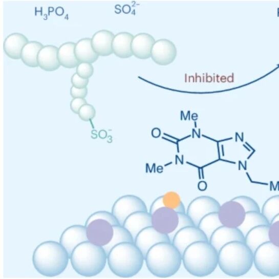 研究前沿：北京大学徐冰君团队，电催化-燃料电池 | Nature Catalysis