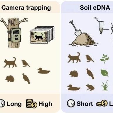 北京大学姚蒙研究组、李晟研究组《Environmental Science & Technology》发文验证土壤eDNA高效检测陆地动植物多样性