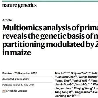 崖州湾国家实验博士后一作发表Nature Genetics研究论文