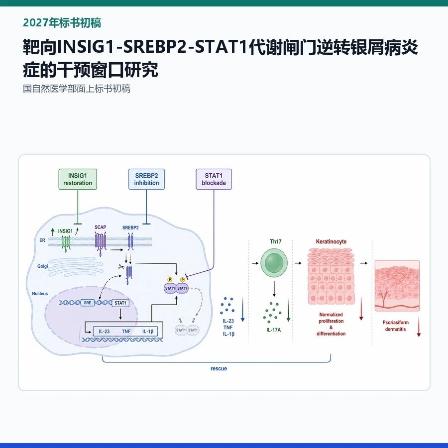 【2027年标书初稿】靶向INSIG1-SREBP2-STAT1代谢闸门逆转银屑病炎症的干预窗口研究