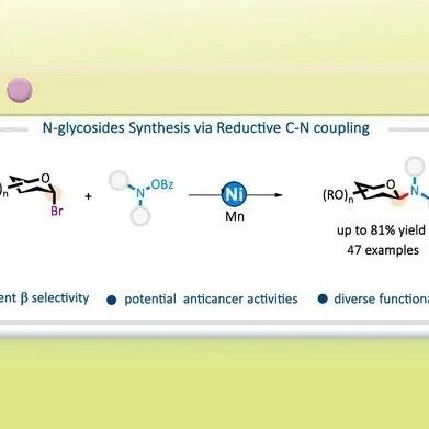 西安交通大学黄渊ACS Catal.：镍催化C(sp³)－N(sp³)还原偶联立体选择性合成N-糖苷