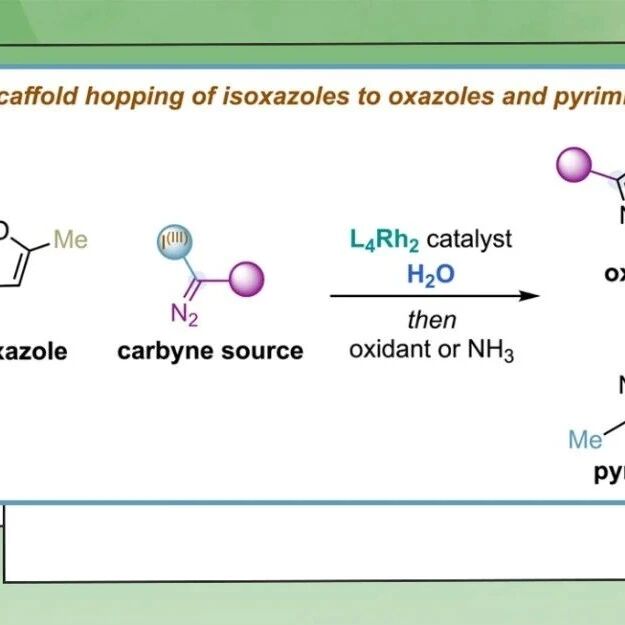 ACS Catal.：利用铑催化氧化单碳插入实现异噁唑的骨架跃迁