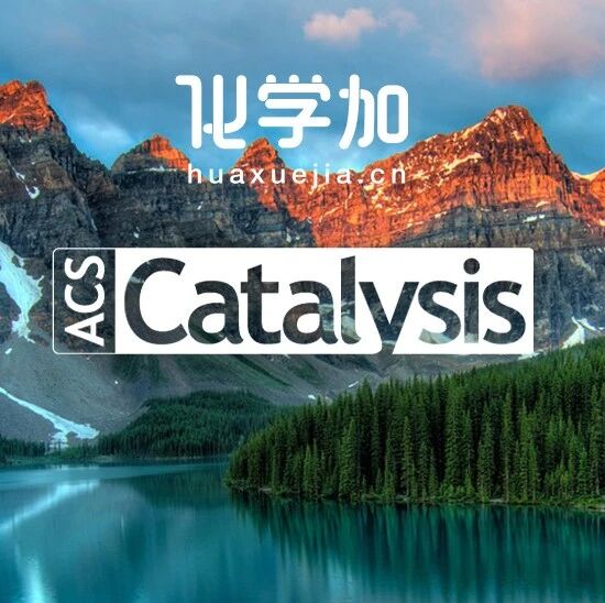 江南大学周志/厦门大学王斌举ACS Catal：人工酶催化不对称曼尼希反应实现手性环状磺酰胺的酶法合成