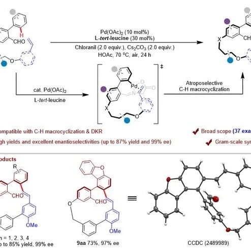 浙大史炳锋教授团队JACS：钯催化不对称C–H烯基化/大环化构建手性环蕃：Isoplagiochin D的不对称全合成