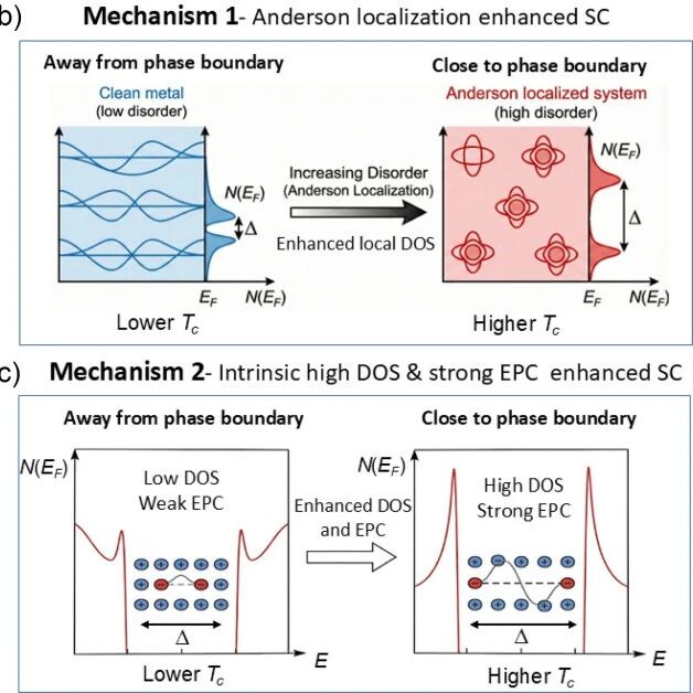 (纯计算)中科院物理所/西班牙瓦伦西亚大学Phys. Rev. Lett.: 压缩金属单硫族化合物中超越安德森局域化的普适性声子介导超导电性