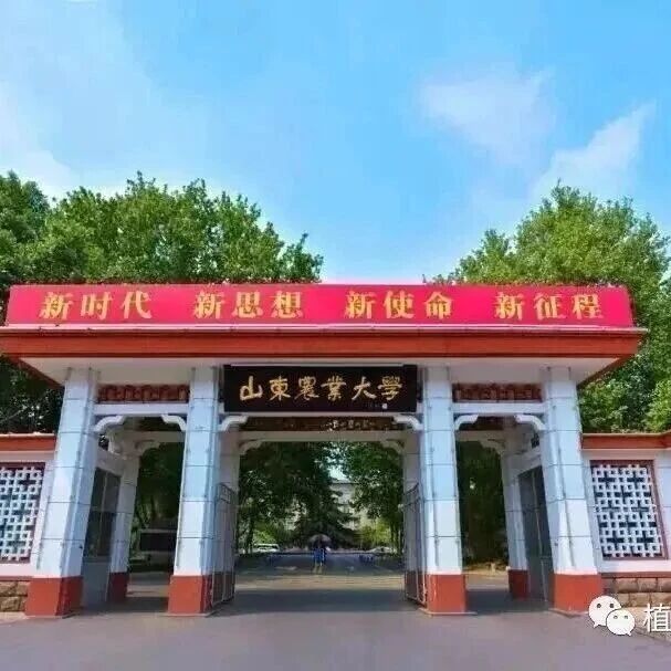 Adv Sci | 山东农业大学农学院宁堂原教授团队揭示植物源褪黑素跨界抑制作物病原细菌毒力的新机制