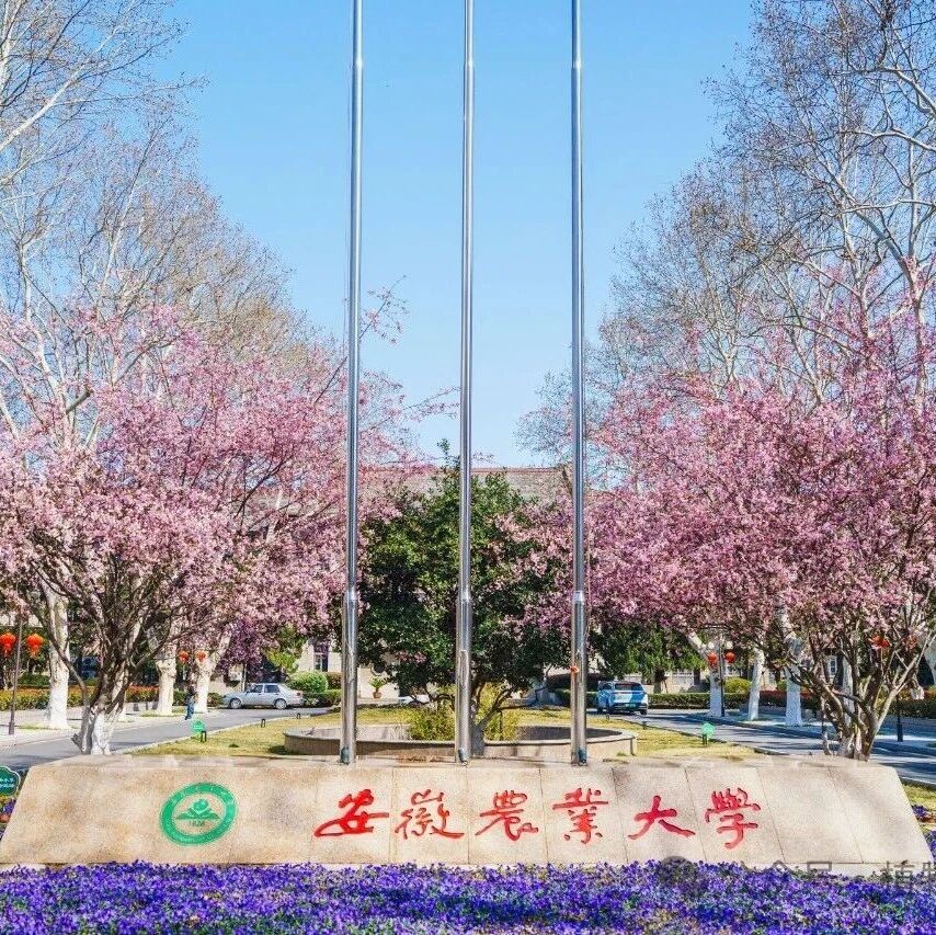 安徽农业大学党委书记、校长，去中国农业大学了！