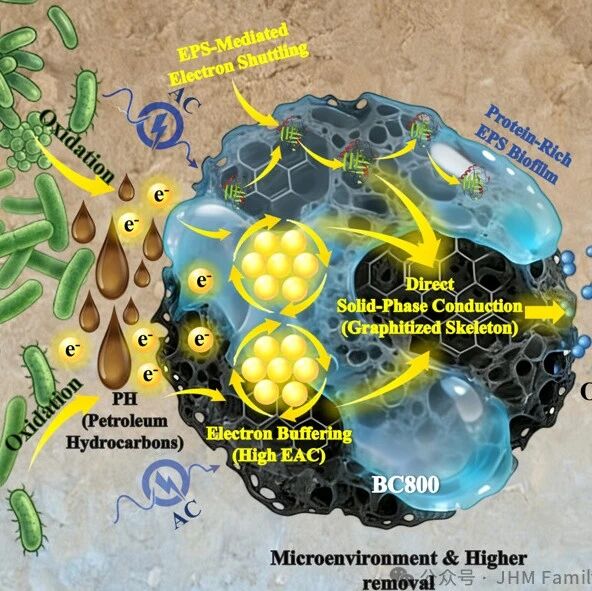 昆明理工大学何欢、国科大杭高院黄颖等JHM：生物炭强化交流电-微生物修复石油污染土壤——胞外聚合物介导的电子传递路径