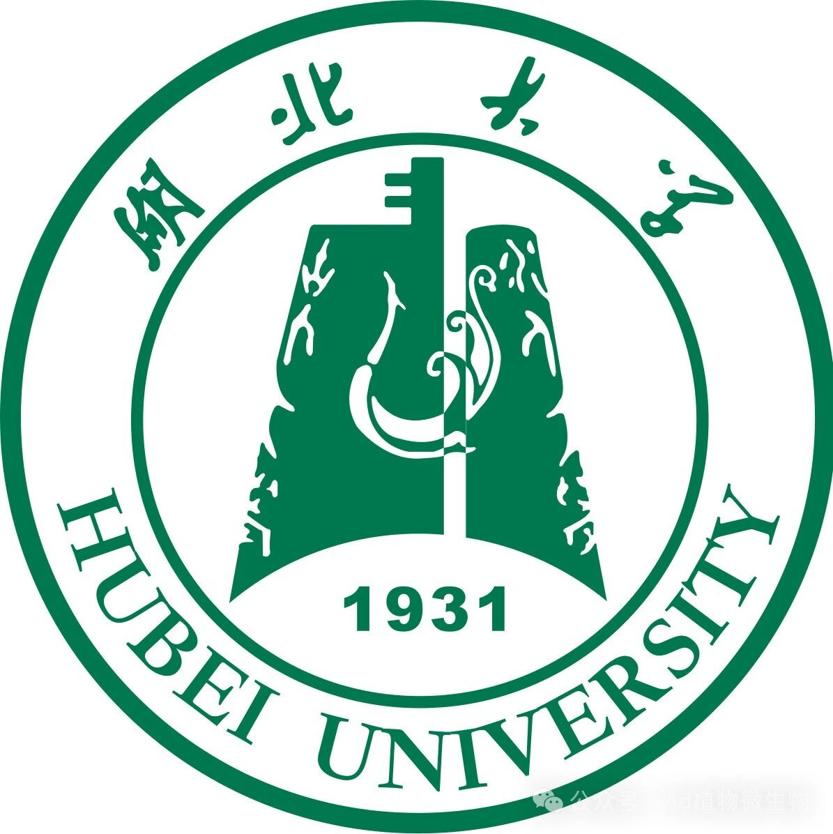 湖北大学硕士生第一作者在Nature Communications发表研究成果，实现关键技术突破