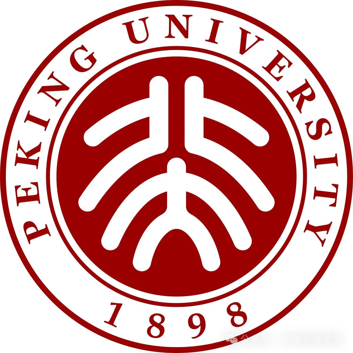 北京大学国家杰青团队在Nature Communications发表研究成果，揭示植物热形态建成的精细调控新机制