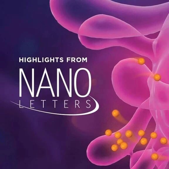 Nano Lett. | 利用木质素纳米颗粒重构液体形状