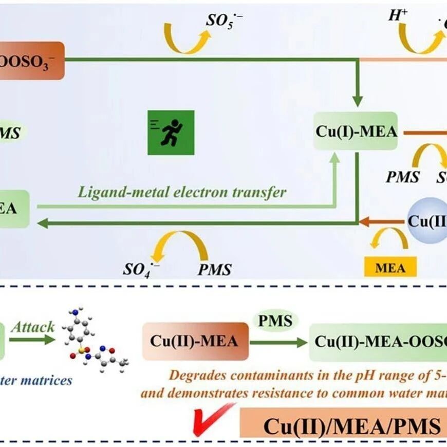 文献速递|广东工业大学CEJ:单乙醇胺调节的Cu(II)/PMS体系SMX的降解:Cu(Ⅱ)-OOSO3-亚稳态配合物和快速铜.
