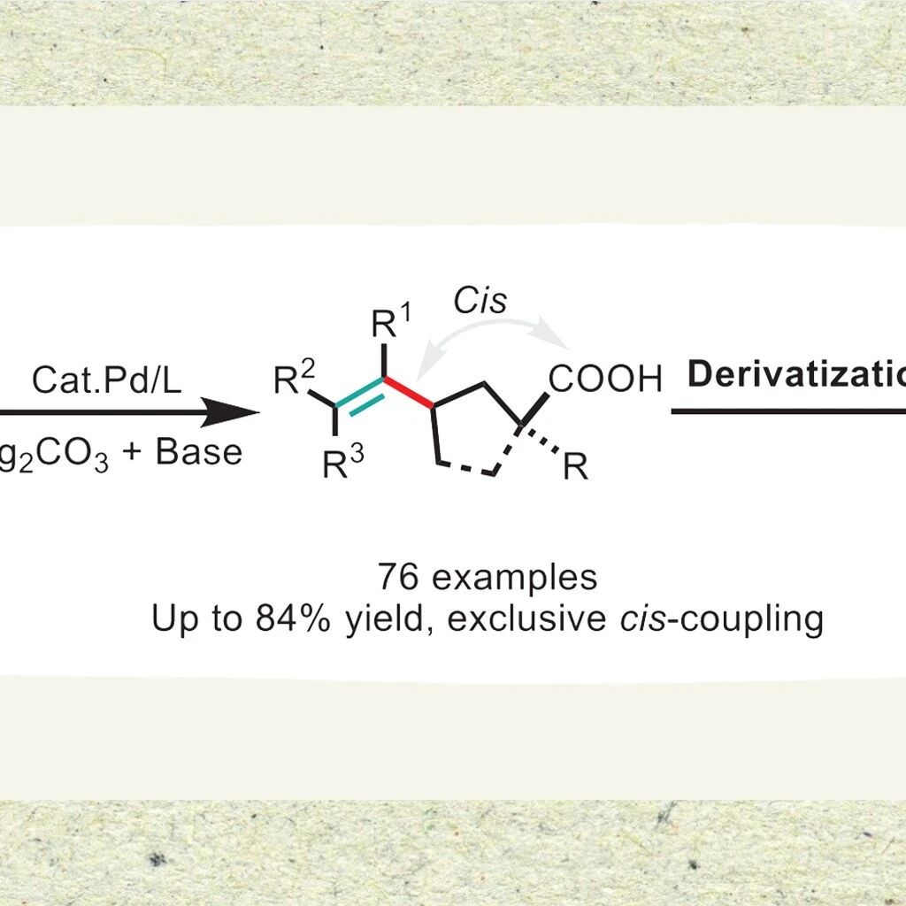 【Angew. Chem.】余金权团队：配体促进亚甲基C(sp³)─H键与烯基溴的立体选择性偶联反应