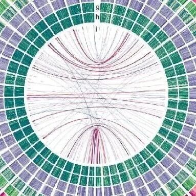 【下周开讲】搞植物微生物的，转录组，基因家族，T2T组装，群体GWAS，比较基因组，R/Python语言，单细胞转录组，ATAC等