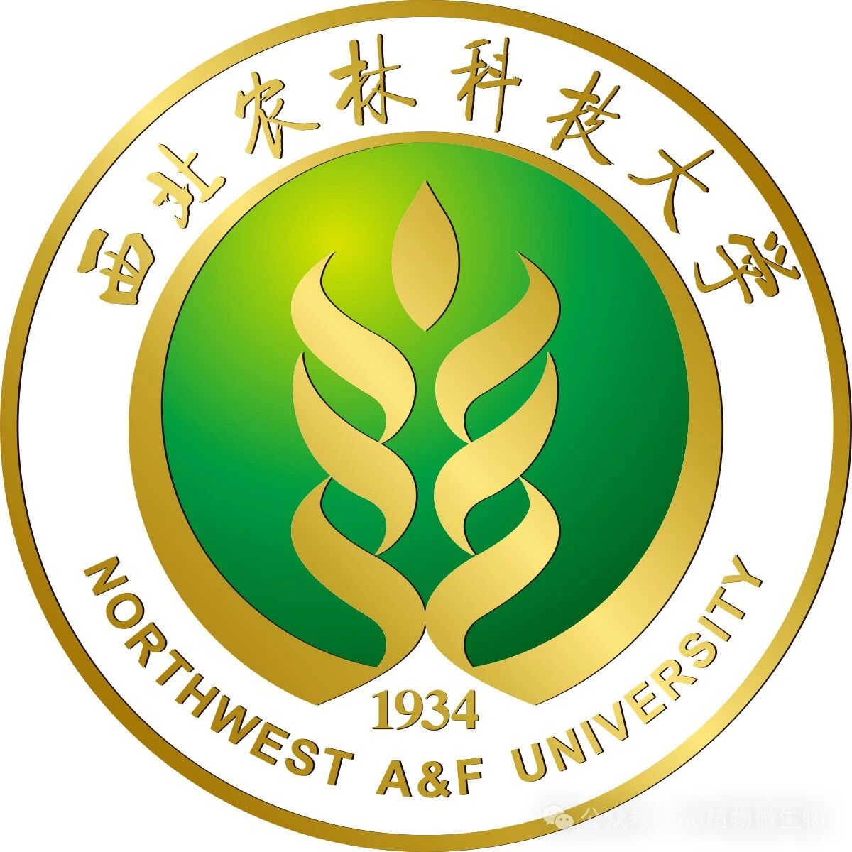 西北农林科技大学马锋旺/李翠英教授团队在植物学一区Top期刊发表研究成果，揭示苹果抗旱性调控的新机制