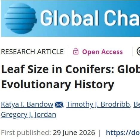 Global Change Biology | 针叶树叶片大小：与气候和演化历史的全球关联