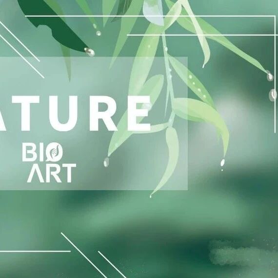 Nature | 李欢欢等揭示乙酰胆碱受体突变导致先天性肌无力综合征的统一机制，并开发高效矫正小分子