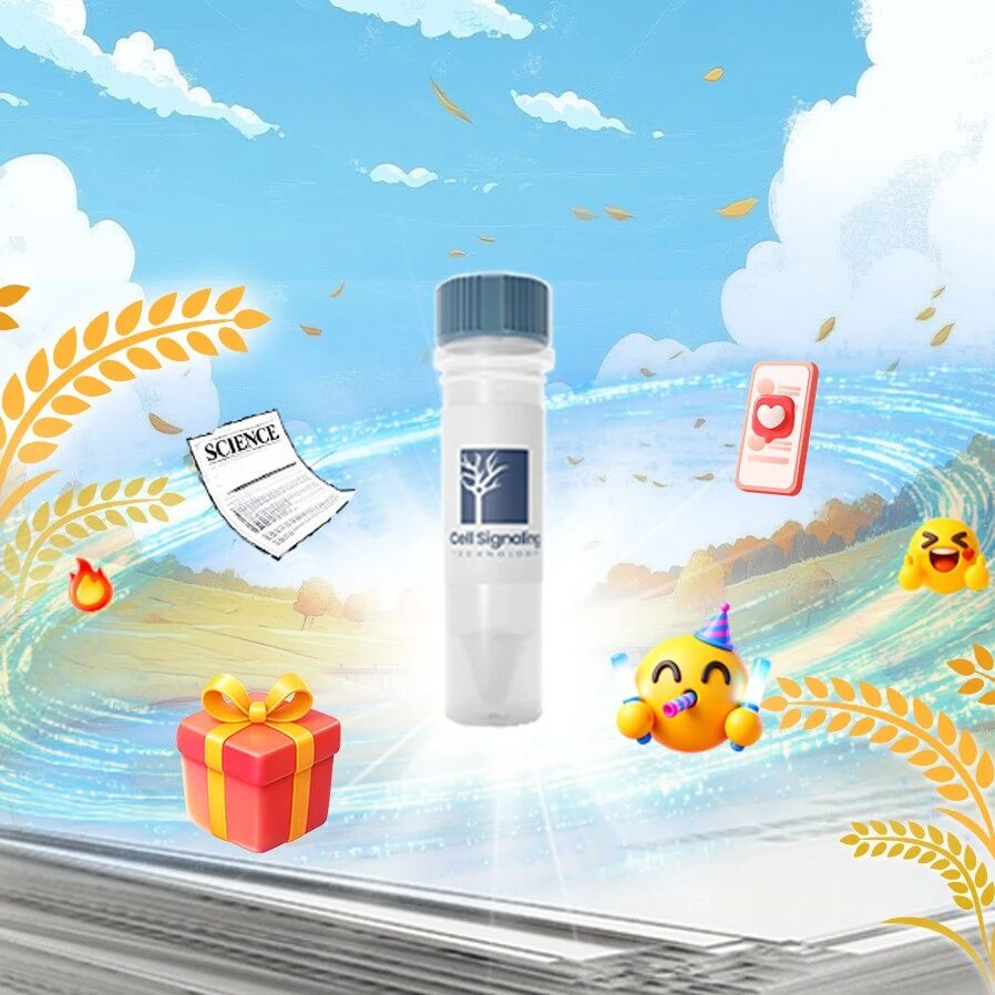 晒引用就能拿奖？科研收获季，CST『万有“引”力』计划“加时赛”来袭
