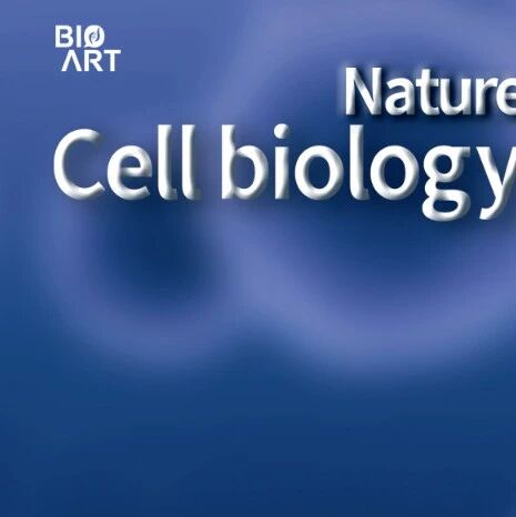 Nat Cell Biol | “休眠开关”：MED4如何锁住乳腺癌转移的潘多拉魔盒