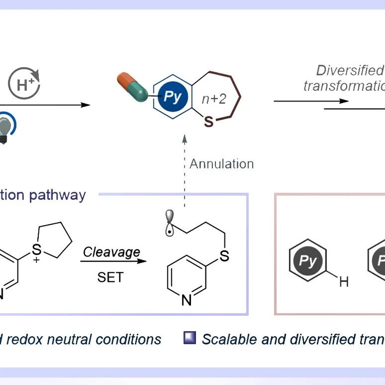 【JACS】大连化物所陈庆安课题组：吡啶自由基诱导的环状硫醚催化骨架重构