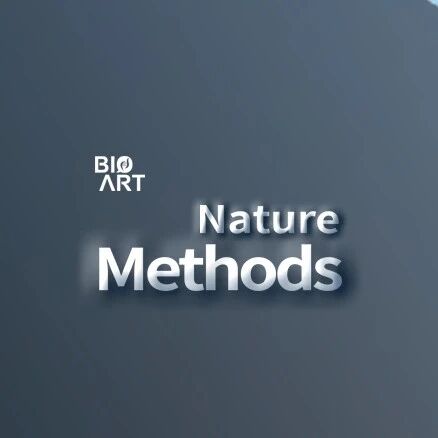 Nat Methods | 原致远/宋江宁/王智康团队开发空间跨组学白盒翻译方法——NicheTrans