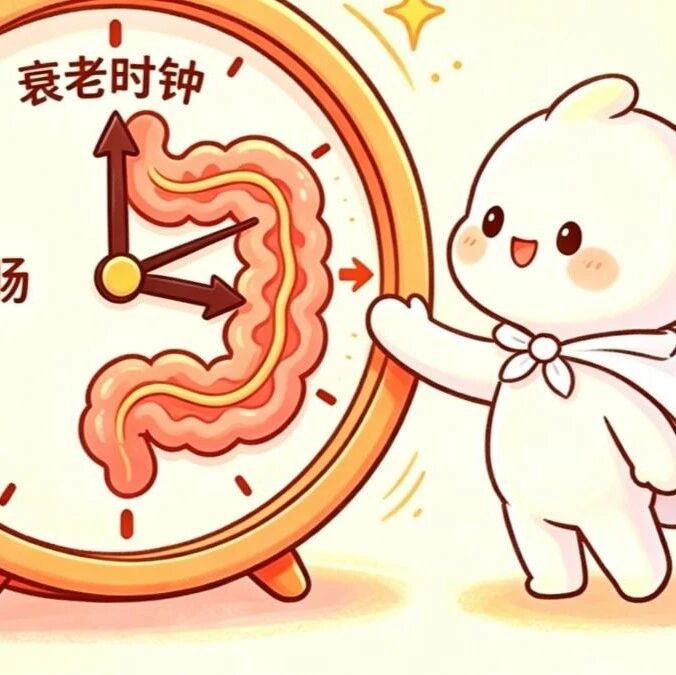 【科学普及】人未老，肠先衰？二甲双胍被证能拨慢小肠衰老时钟