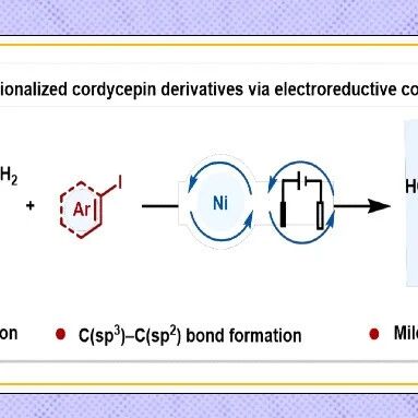 【Org. Lett.】南京工业大学王亚辉/沈涛课题组：电化学策略实现虫草素3′-C位精准修饰