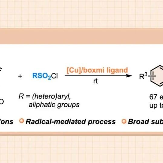 中山大学李锡涛课题组J. Org. Chem.：铜催化磺酰化自由基串联环化构建4H-苯并[d][1,3]噁嗪骨架