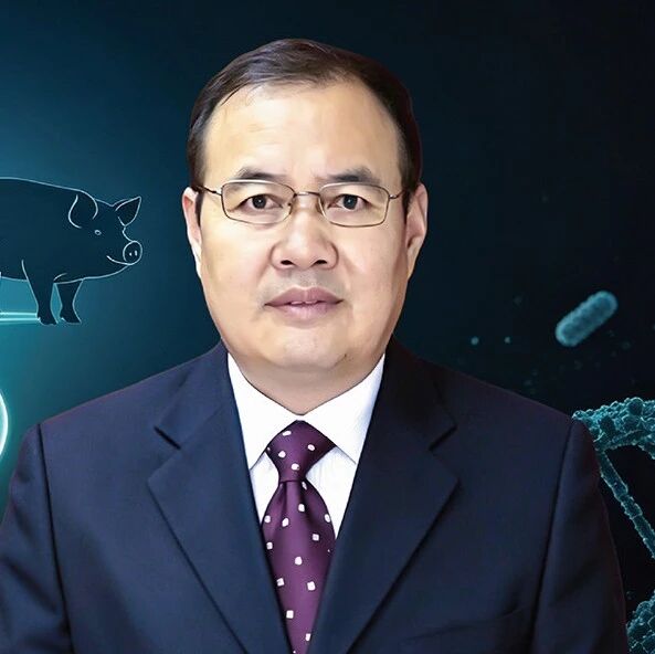 The Innovation Webinar #207 | 赵新全：家畜肠道微生物群的再野化