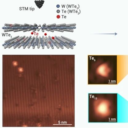 The Innovation Physics | 当自组装遇上原子操控：WTe₂表面Te团簇的精准构筑与调控