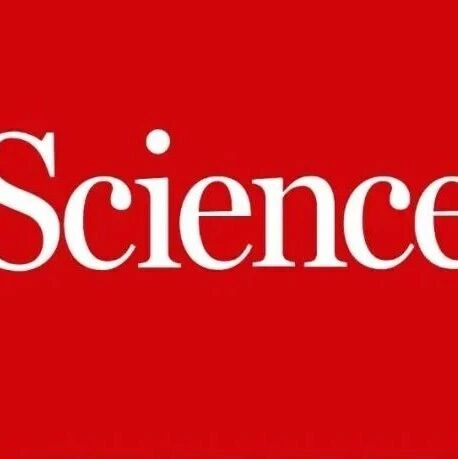 老朋友一旦翻脸，你的大脑如何立刻“拉黑”他？《Science》揭开社交厌恶的神经机制